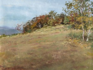 Adams Knoll, Putney Mountain