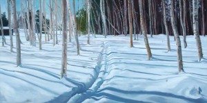 Ski Path Through the Birches