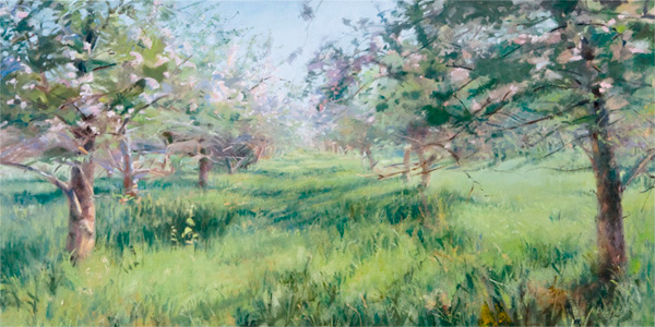 Wild Orchard in Bloom