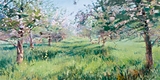 Wild Orchard In Bloom