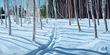 Ski Path Winter Birches