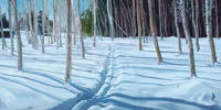 Ski Path Winter Birches